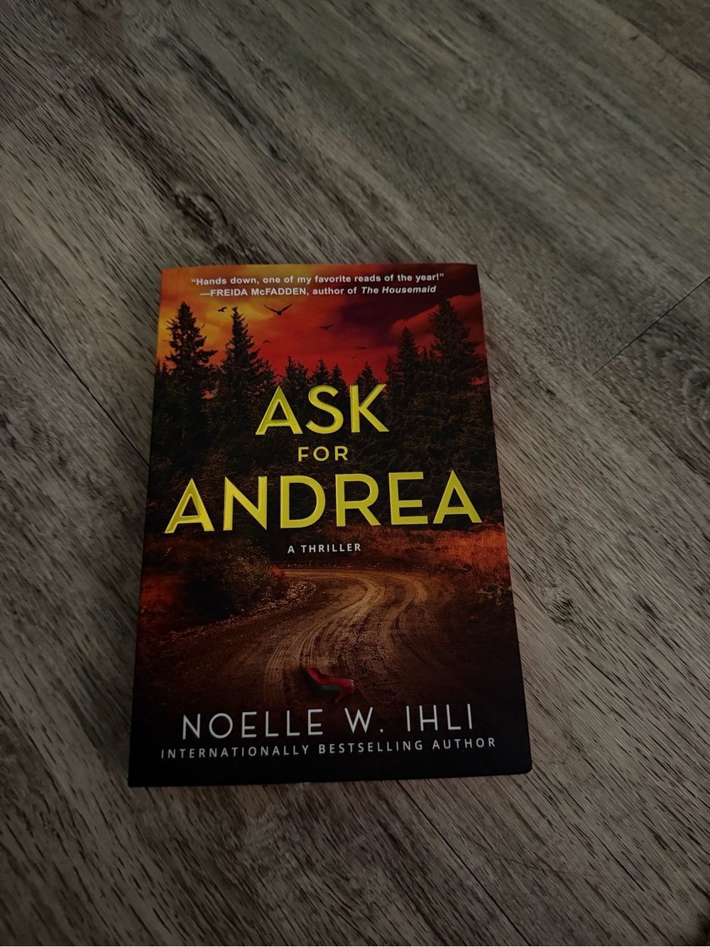 Ask for Andrea by Noelle W. Ihli - Dark Red & Orange Thriller Paperback